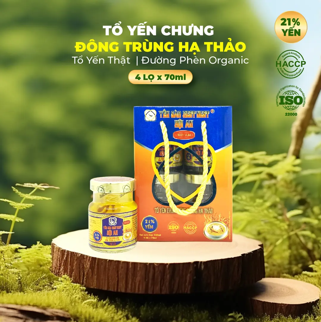 Hộp 4 hũ Yến Sào BESTNEST HỘI AN Premium 21% Đông trùng hạ thảo